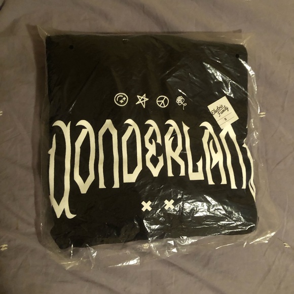 Brand new/sealed with tags - Electric Family X Alison Wonderland hoodie - Picture 2 of 2